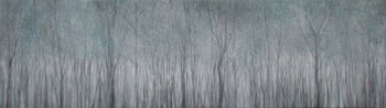  “Bosque de luz”, 2019, Acrílico sobre tela, 100 x 360 cm 